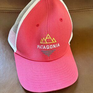 Patagonia Trucker Hat